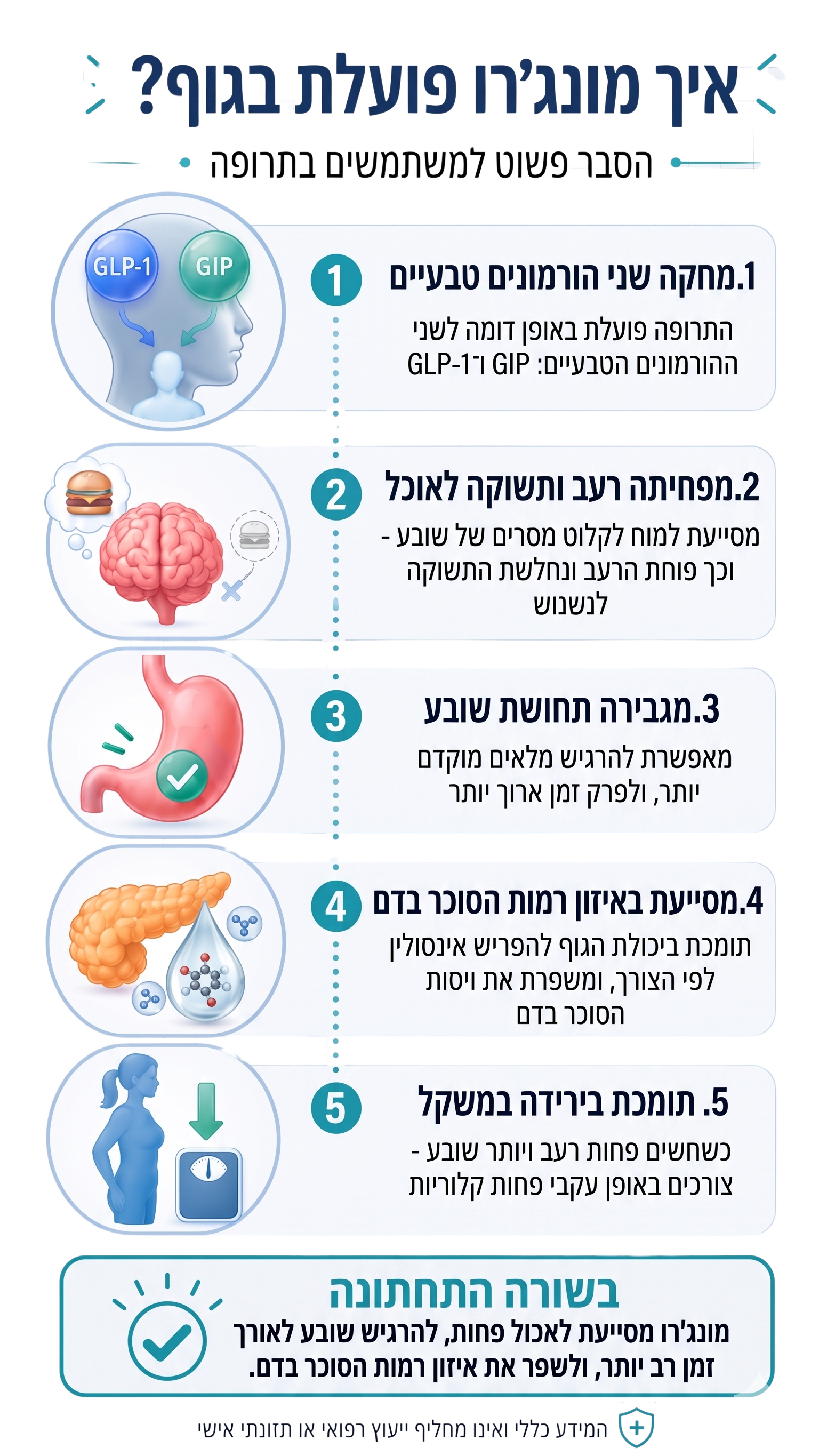 איך מונג'רו פועלת בגוף — מחקה את ההורמונים GLP-1 ו-GIP, מפחיתה רעב, מגבירה שובע, מאזנת סוכר בדם ותומכת בירידה במשקל